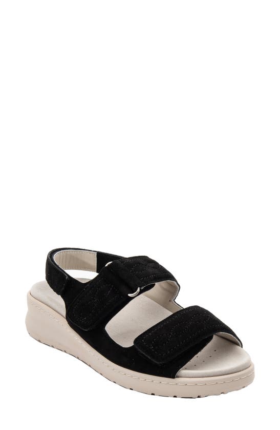 Shop David Tate Key Comfort Slingback Sandal In Black