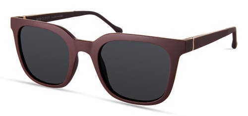 Eco Tybee Sunglasses In Chestnut Brown