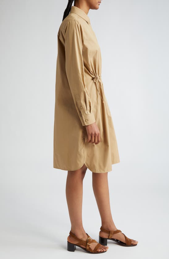 Shop Max Mara Juanita Cinch Waist Long Sleeve Poplin Shirtdress In Clay