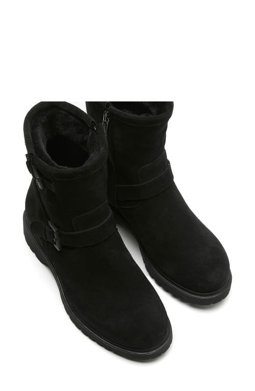 Shop La Canadienne Hana Waterproof Genuine Shearling Lined Engineer Boot In Black Suede