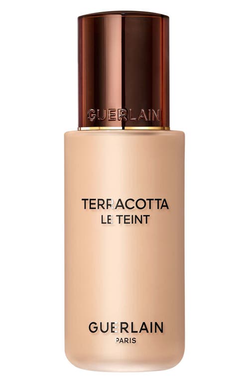 Guerlain Terracotta Le Teint Healthy Glow Foundation in 2.5N Neutral at Nordstrom