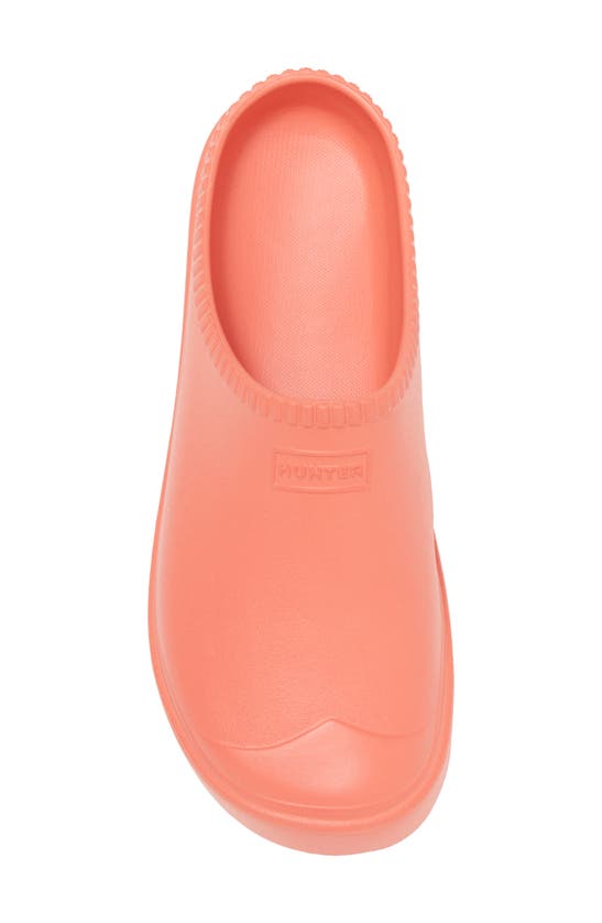 Shop Hunter Gender Inclusive In/out Bloom Clog In Persimmon Pink/pink