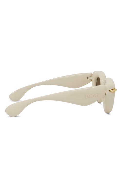 Shop Loewe Inflated Pantos 46mm Round Sunglasses In Ivory/brown