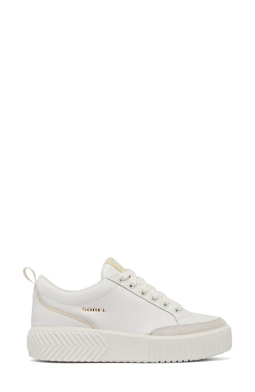 Sorel Ona Ave Sneakers In Sea Salt/bleached Ceramic