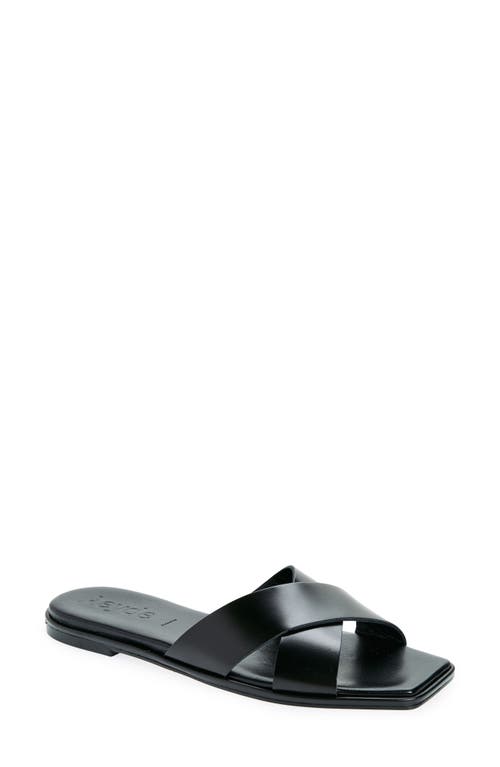 Shop Aeyde Sonia Slide Sandal In Black