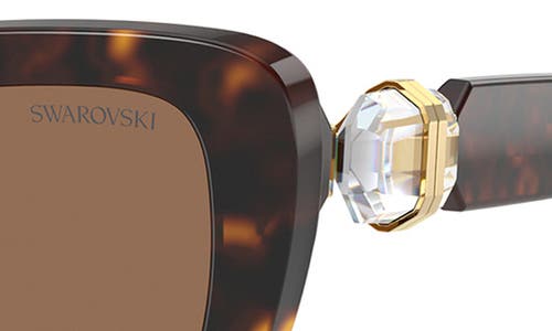 Swarovski 52mm Cat Eye Sunglasses In Havana