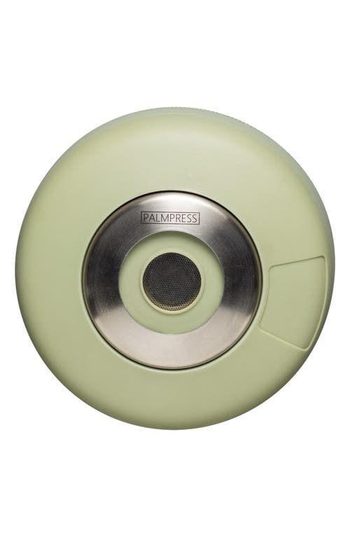 Corkcicle Palmpress Brewing Container In Sage Green
