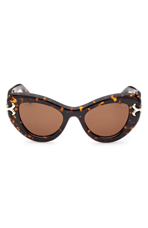 Emilio Pucci 50mm Small Cat Eye Sunglasses In Dark Havana/brown