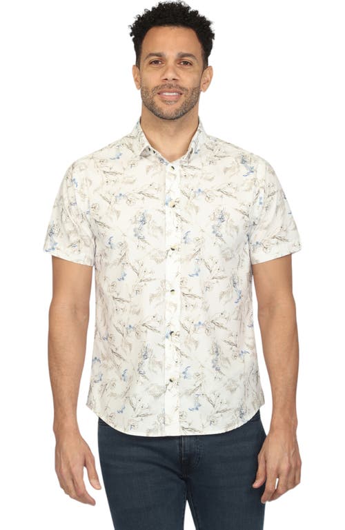 Vustra Men's Blue / White Dawn Blooms Print In White