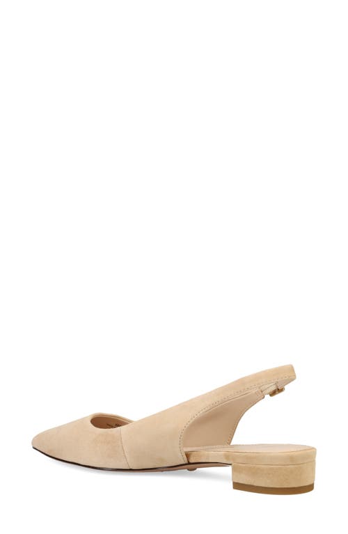 Shop Pelle Moda Aali Pointed Toe Slingback Flat In Latte