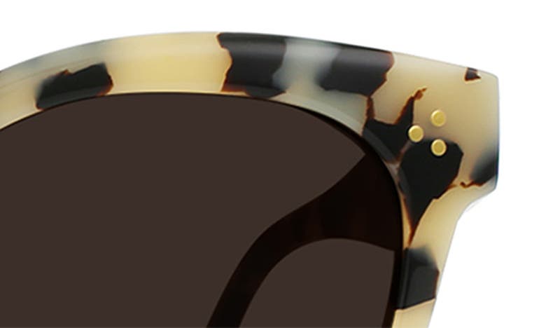 Shop Raen Kostin Nikol Polarized Square Sunglasses In Ivory Tortoise/ Carob