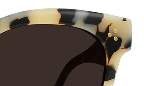 Shop Raen Kostin Nikol Polarized Square Sunglasses In Ivory Tortoise/carob