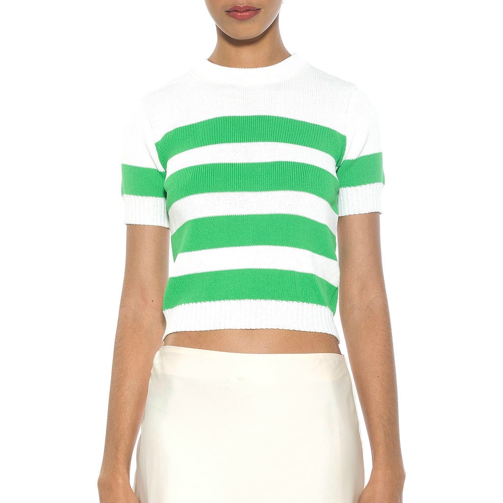 Alexia Admor Pat Stripe Short Sleeve Sweater Top In Green