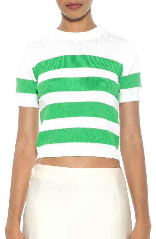 Shop Alexia Admor Pat Stripe Short Sleeve Sweater Top In Ivory/green