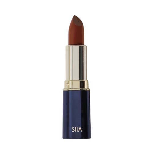 Shop Siia Cosmetics Change Agent Matte Lipstick In Cinnamon Brick