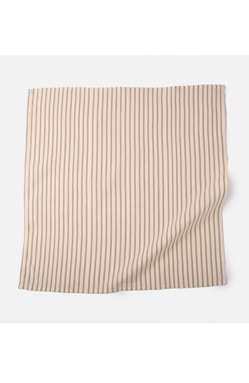 Siafu Home Twiga Napkins Set Of 4 In Grey