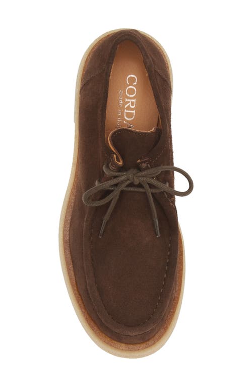 Cordani Maya Loafer In Brown Suede In Camoscio