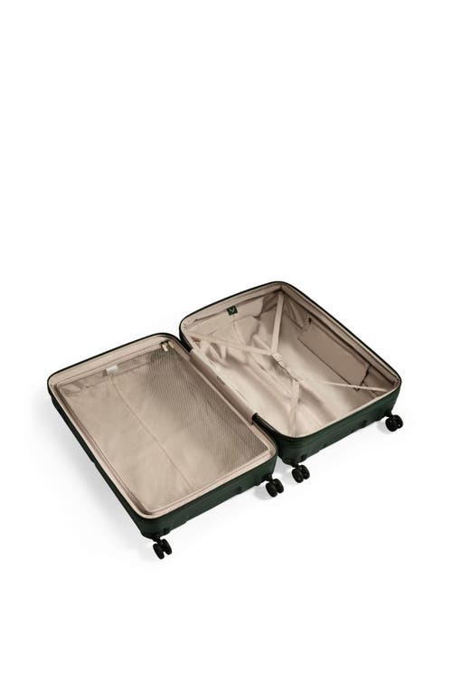 Antler Single Stripe Large In Green