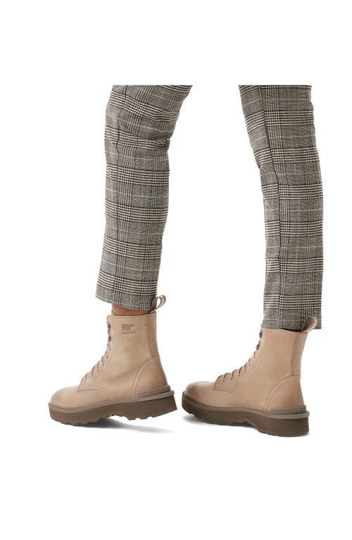 Shop Sorel Hi-line Platform Combat Boot In Omega Taupe/major