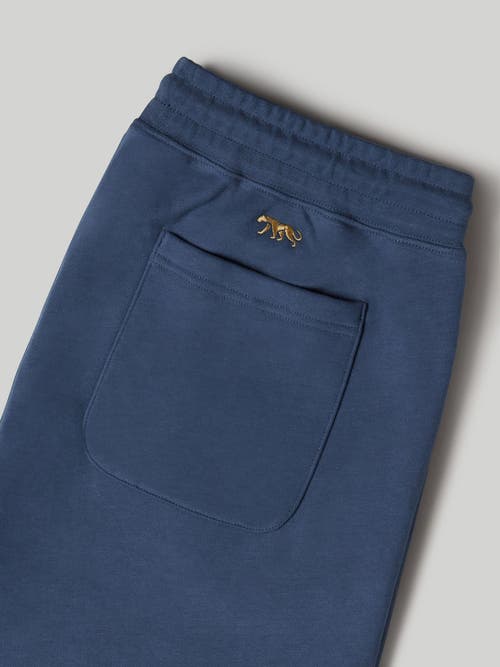 Robert Talbott Chandler French Terry Jogger In Indigo Blue