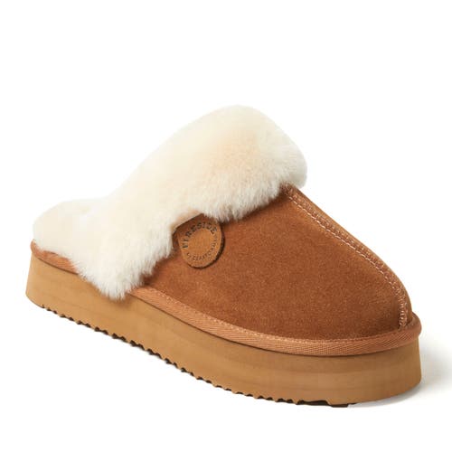 Shop Dearfoams Fireside Melton Genuine Shearling Platform Scuff Slipper In Chestnut