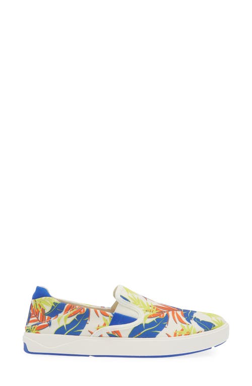 Shop Olukai Lae'ahi Pa'i Slip-on Sneaker In Off White/aloha