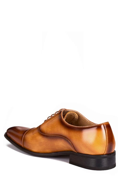 Gino Vitale Cap Toe Oxford In Brown