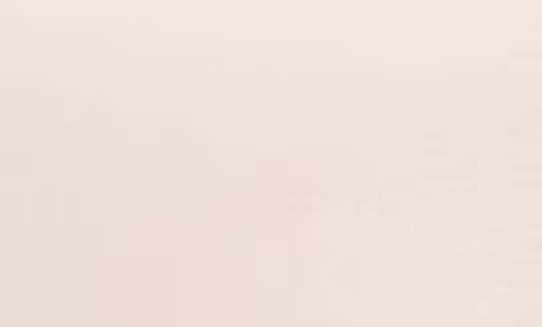 Stuart Weitzman Vacay 35 Block Slide Sandal In Rosewater