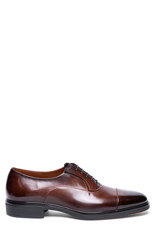 Shop Santoni Cap Toe Oxford In Dark Brown