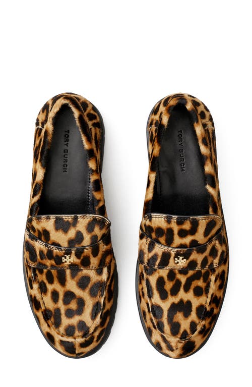 Shop Tory Burch Classic Genuine Calf Hair Platform Lug Sole Loafer In Classic Leopard