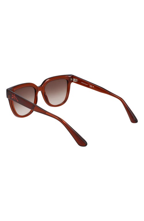 LONGCHAMP LONGCHAMP LE PLIAGE 52MM ROUND SUNGLASSES