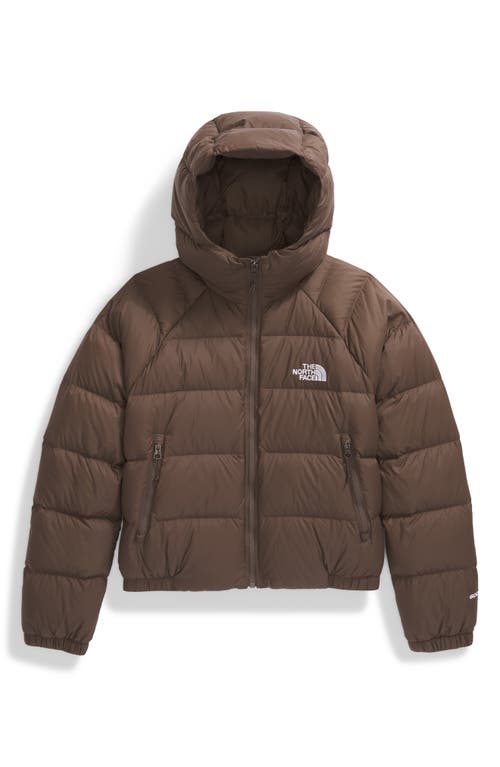 Shop The North Face Hydrenalite Hooded Down Jacket In Smokey Brown