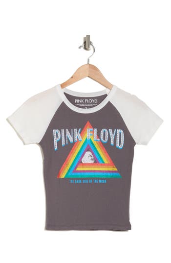 Vinyl Icons Pink Floyd Graphic T-shirt In Grey