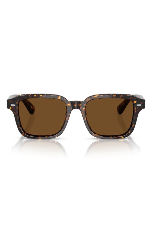 Oliver Peoples 51mm Pillow Sunglasses In Brown Tortoise