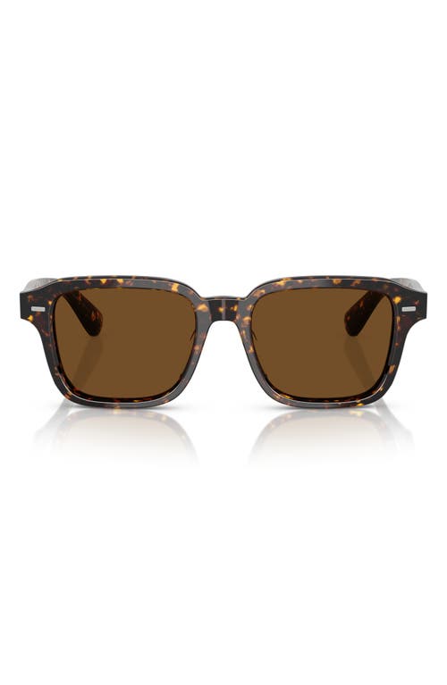 Shop Oliver Peoples 51mm Pillow Sunglasses In Brown Tortoise