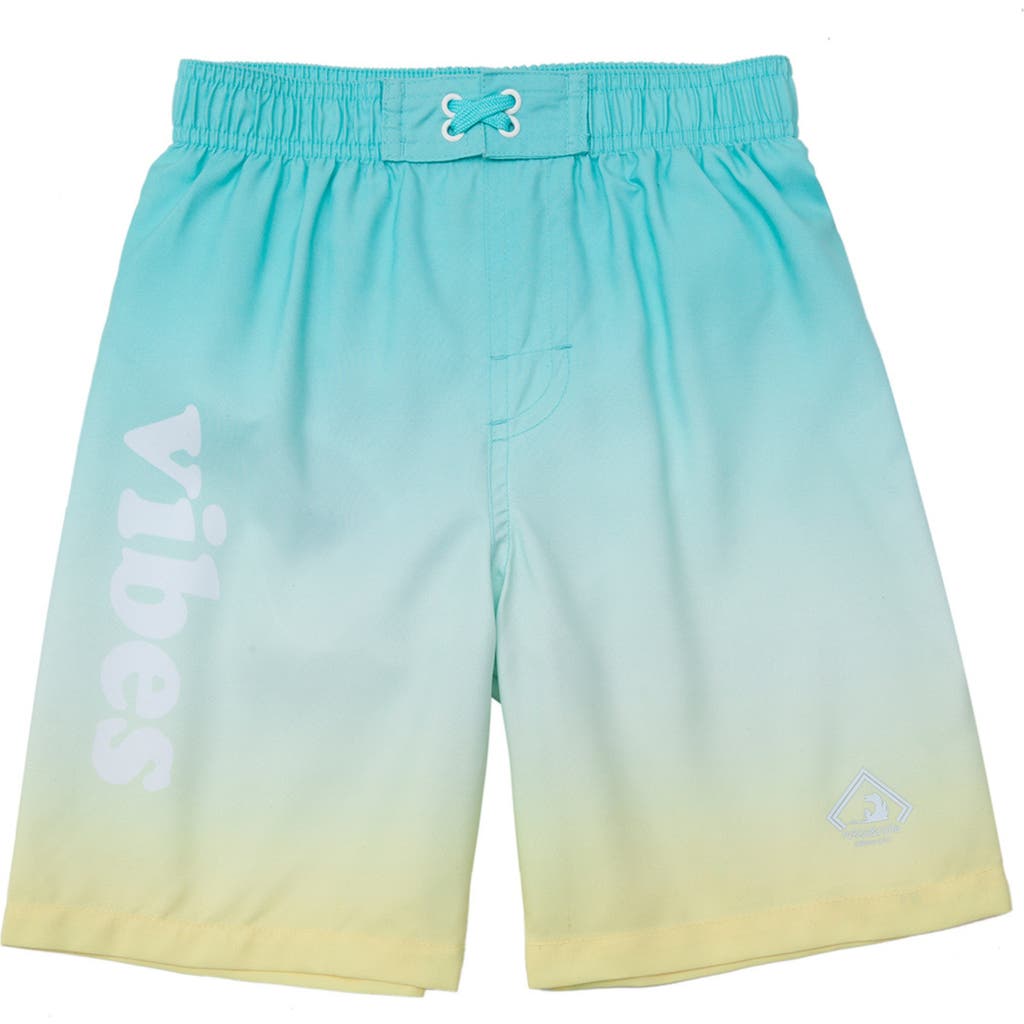 ROKKA&ROLLA ROKKA&ROLLA TODDLER SWIM TRUNKS WITH MESH LINING UPF 50+