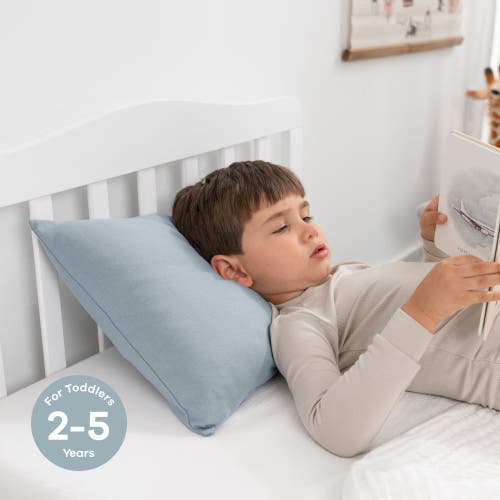 Comfy Cubs Toddler Pillow With Soft Cotton Pillowcase In Pacific Blue
