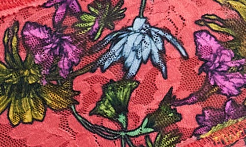 Hanky Panky Printed Signature Lace Boyshort In Wonderland Blooms