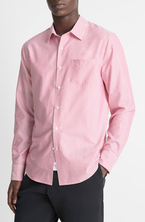Vince Playa Stripe Poplin Button-up Shirt In Vermouth Combo