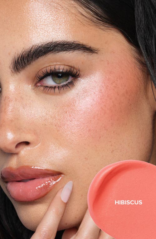 Anastasia Beverly Hills Blurring Serum Blush In Hibiscus