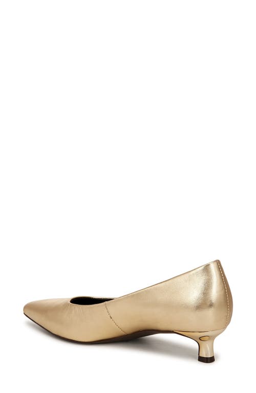 Shop Naturalizer Natalia Pointed Toe Kitten Heel Pump In Dark Gold Leather