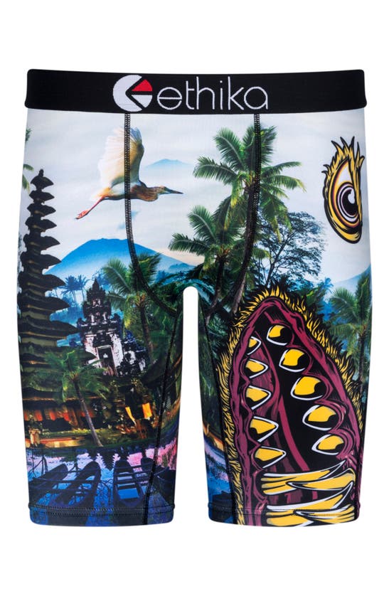 Ethika Kids' Primal Boxer Briefs In Green/ Red