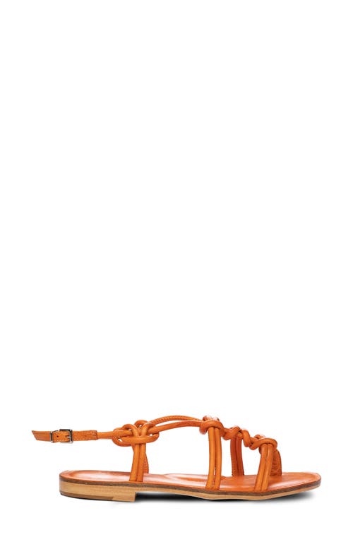 Golo Forget Me Knot Sandal in Orange