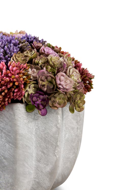 Cocobella Allison Ceramic Sedum Arrangement In Pink