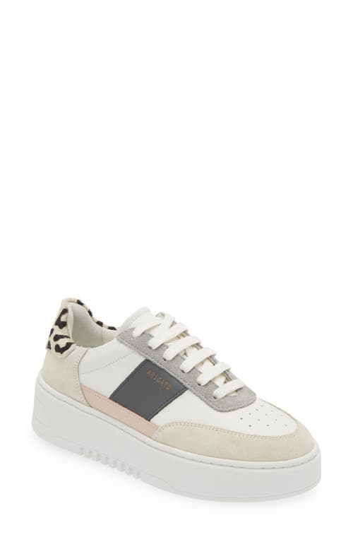 Shop Axel Arigato Orbit Platform Sneaker In White/cremino