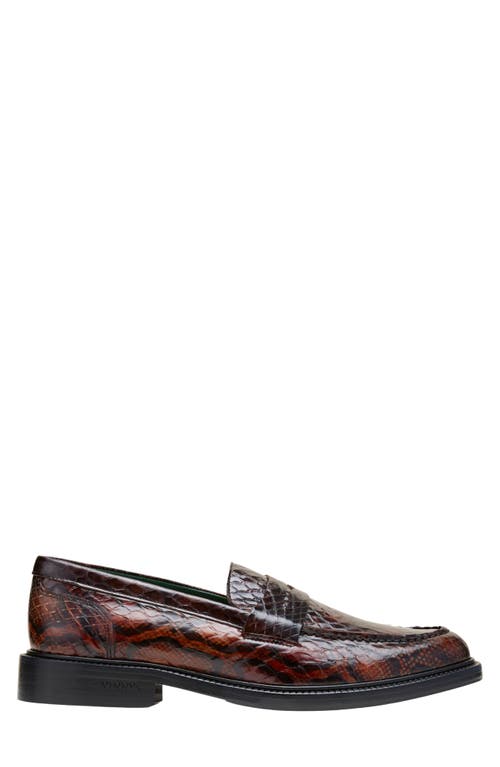 Shop Vinny's Townee Snake Embossed Penny Loafer In Dark Brown Python Pattern