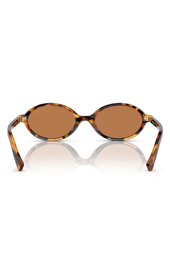 Miu Miu 50mm Oval Sunglasses In Brown
