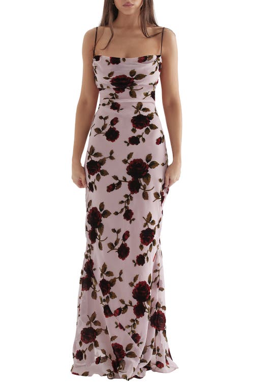 HOUSE OF CB Serena Floral Velvet Burnout Maxi Dress Light Pink at Nordstrom,