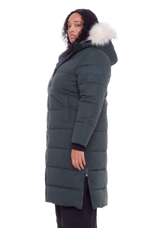 Shop Alpine North Kluane Plus Size In Green