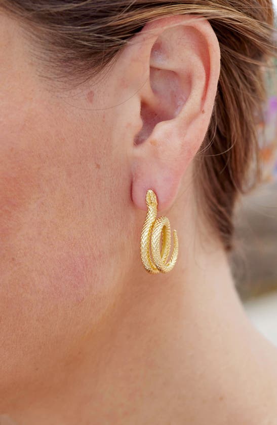 Shop Savvy Cie Jewels Snake Stud Earrings In Yellow Gold
